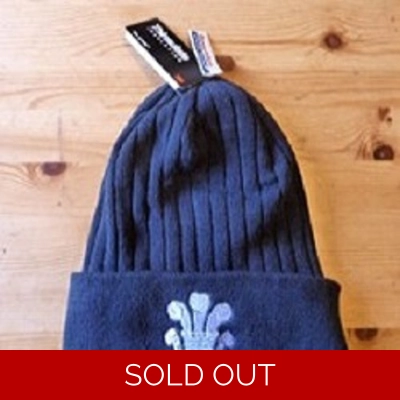 HH Beanie